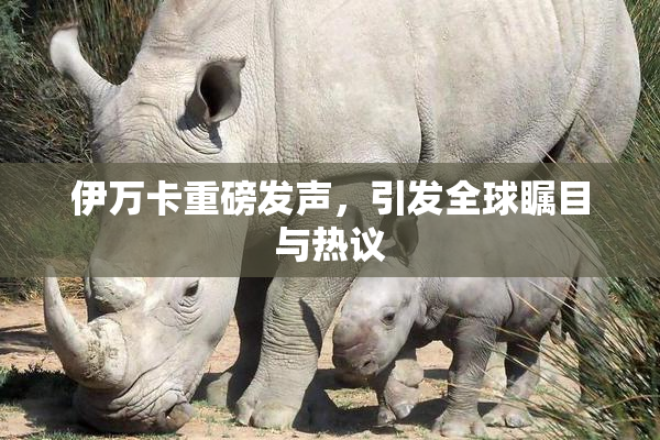 伊万卡重磅发声，引发全球瞩目与热议