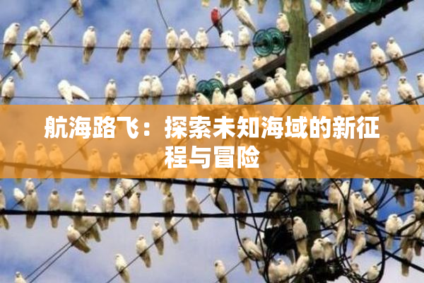 航海路飞：探索未知海域的新征程与冒险