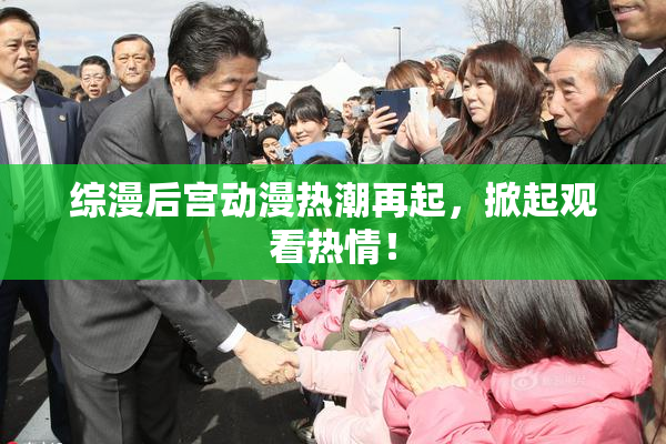 综漫后宫动漫热潮再起，掀起观看热情！