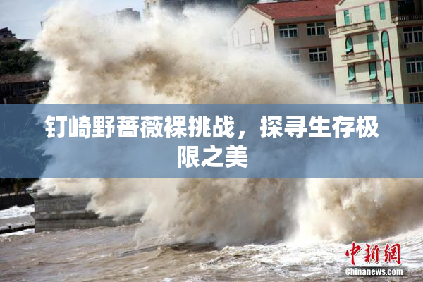 钉崎野蔷薇裸挑战，探寻生存极限之美