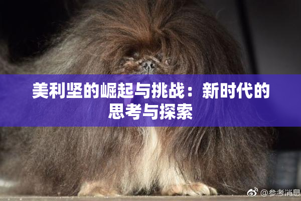 美利坚的崛起与挑战：新时代的思考与探索