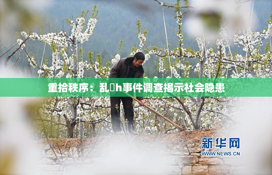 重拾秩序：乱婬h事件调查揭示社会隐患