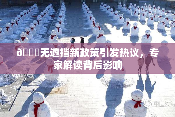 🔞无遮挡新政策引发热议，专家解读背后影响