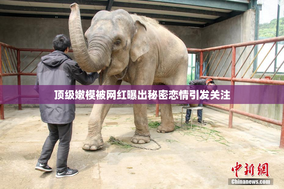 顶级嫩模被网红曝出秘密恋情引发关注