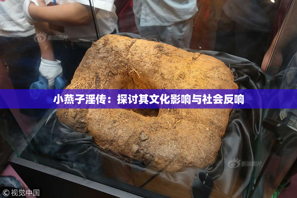 小燕子淫传：探讨其文化影响与社会反响