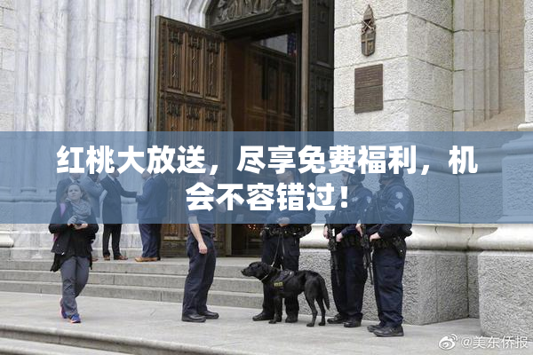 红桃大放送，尽享免费福利，机会不容错过！