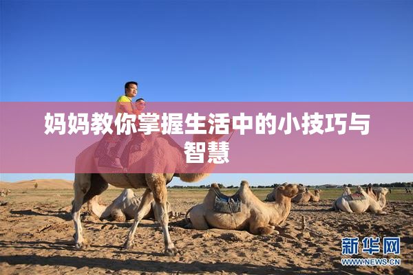 妈妈教你掌握生活中的小技巧与智慧