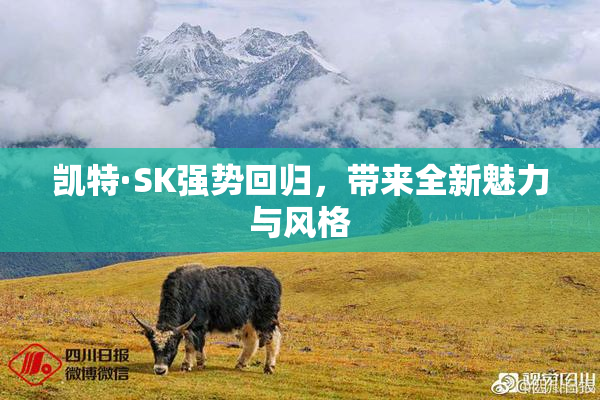 凯特·SK强势回归，带来全新魅力与风格