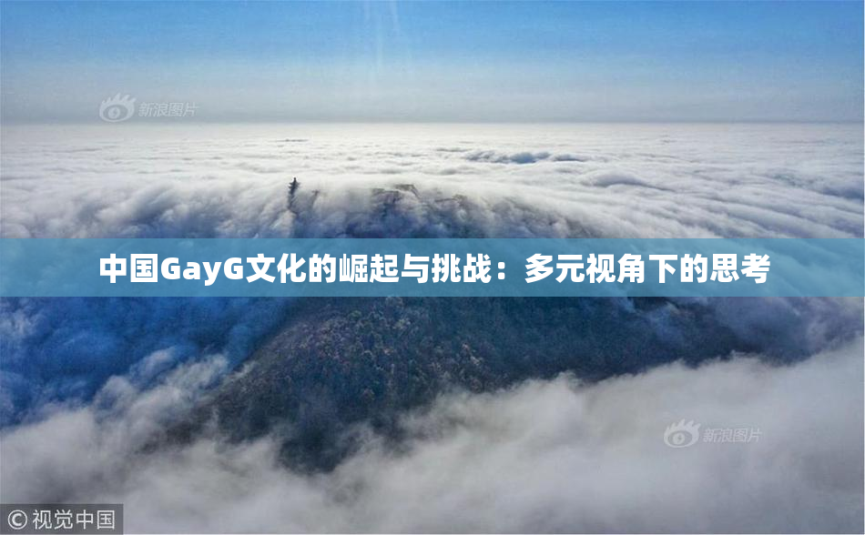 中国GayG文化的崛起与挑战：多元视角下的思考