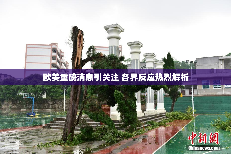 欧美重磅消息引关注 各界反应热烈解析
