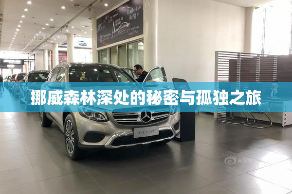 挪威森林深处的秘密与孤独之旅