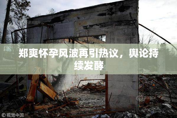 郑爽怀孕风波再引热议，舆论持续发酵