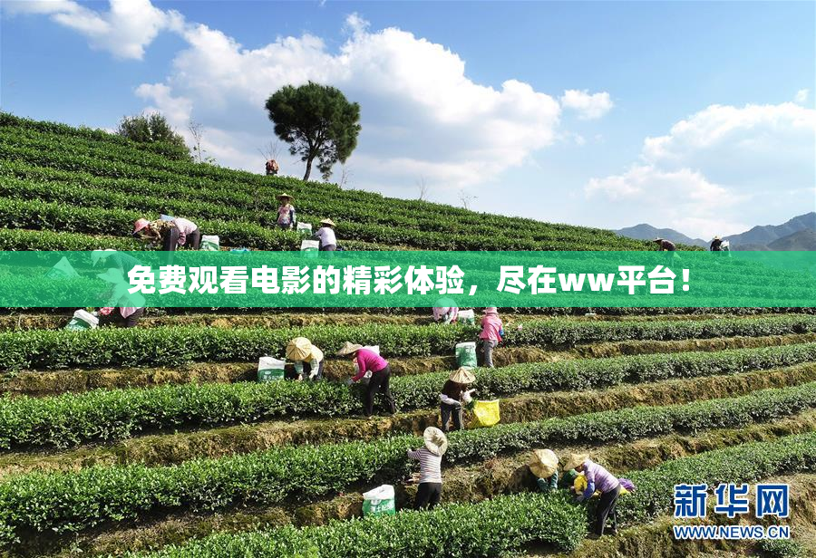 免费观看电影的精彩体验，尽在ww平台！
