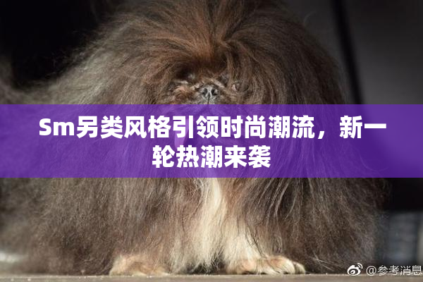 Sm另类风格引领时尚潮流，新一轮热潮来袭