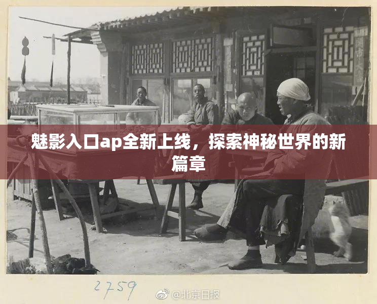 魅影入口ap全新上线，探索神秘世界的新篇章