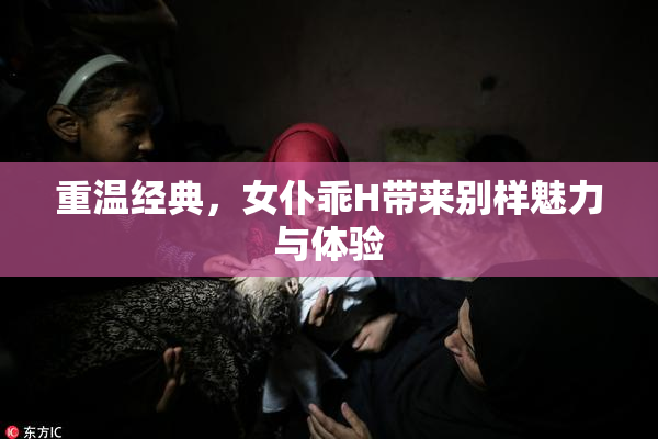 重温经典，女仆乖H带来别样魅力与体验