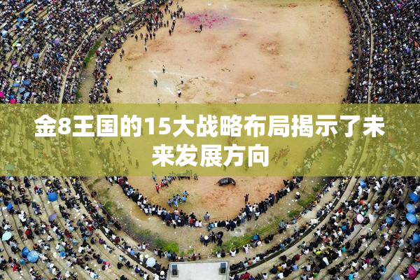 金8王国的15大战略布局揭示了未来发展方向