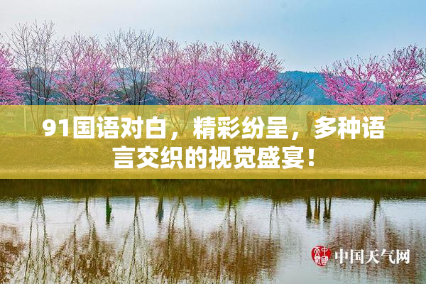 91国语对白，精彩纷呈，多种语言交织的视觉盛宴！