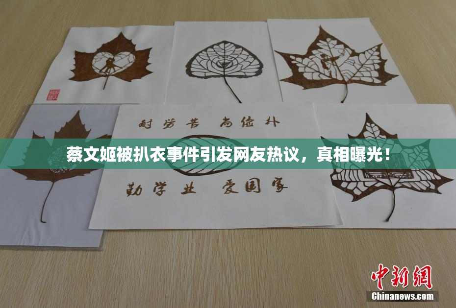 蔡文姬被扒衣事件引发网友热议，真相曝光！