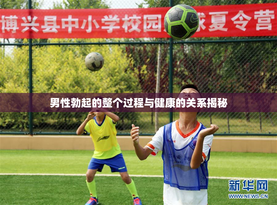 男性勃起的整个过程与健康的关系揭秘