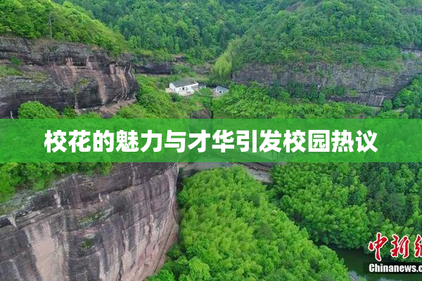 校花的魅力与才华引发校园热议