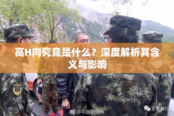 高H肉究竟是什么？深度解析其含义与影响