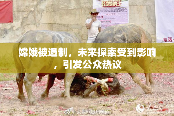 嫦娥被遏制，未来探索受到影响，引发公众热议