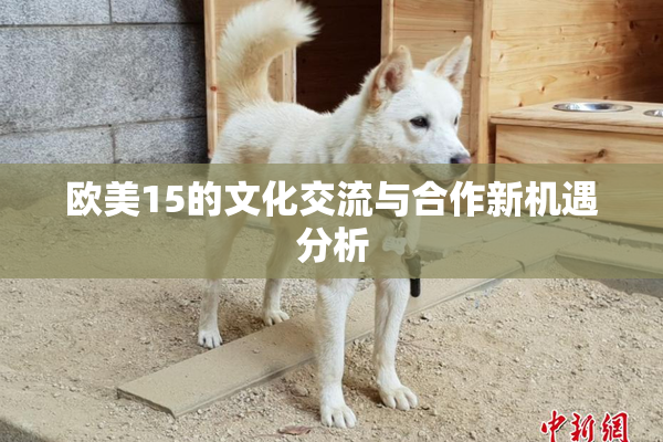 欧美15的文化交流与合作新机遇分析