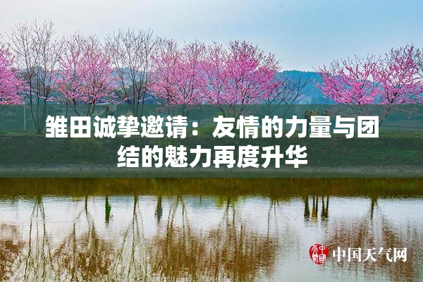 雏田诚挚邀请：友情的力量与团结的魅力再度升华