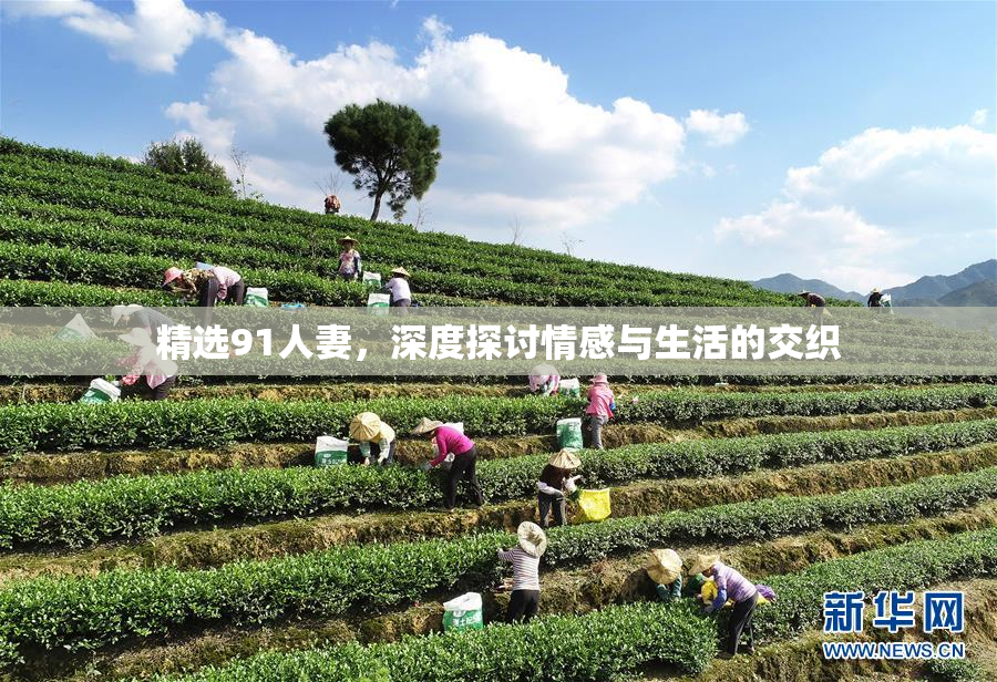 精选91人妻，深度探讨情感与生活的交织
