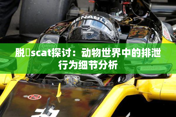 脱糞scat探讨：动物世界中的排泄行为细节分析