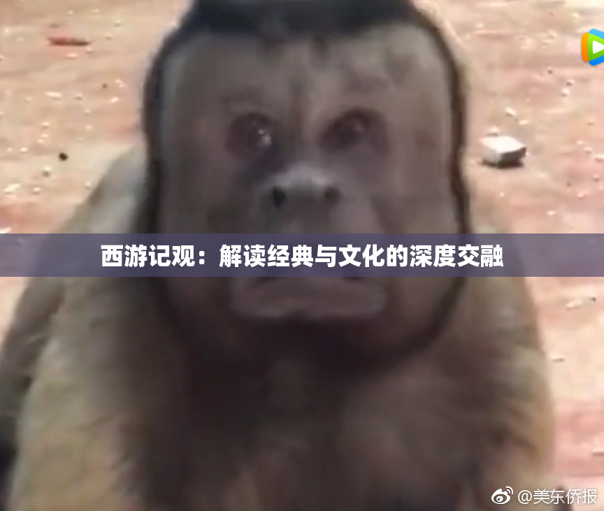 西游记观：解读经典与文化的深度交融