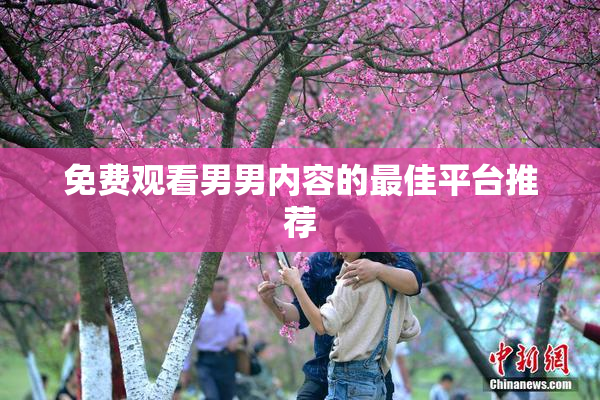 免费观看男男内容的最佳平台推荐