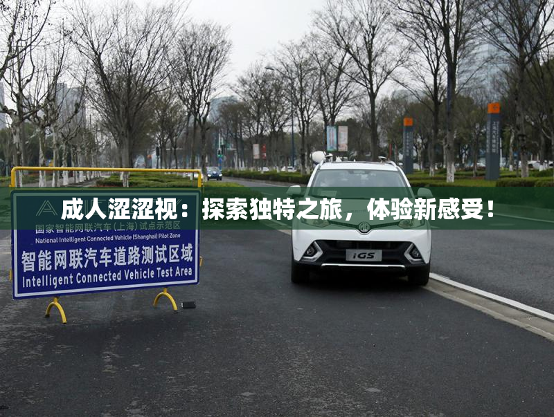 成人涩涩视：探索独特之旅，体验新感受！