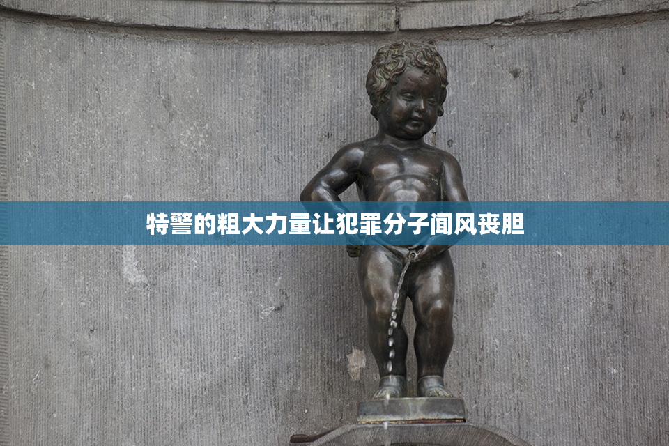 特警的粗大力量让犯罪分子闻风丧胆