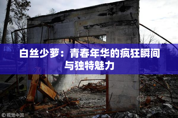 白丝少萝：青春年华的疯狂瞬间与独特魅力