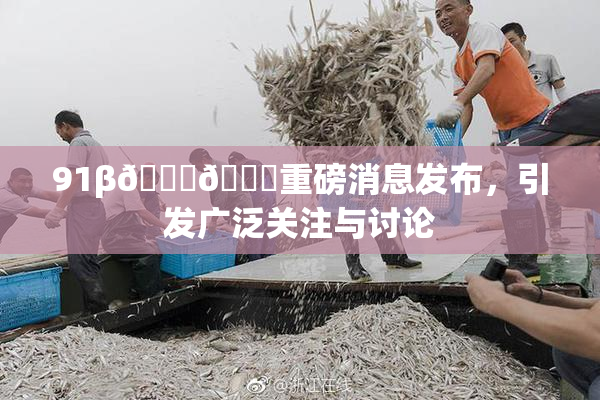 91β🍆🍆重磅消息发布，引发广泛关注与讨论