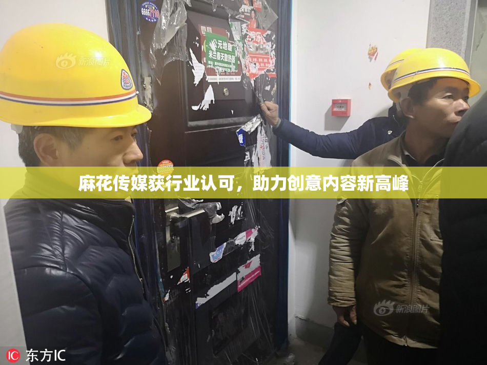 麻花传媒获行业认可，助力创意内容新高峰