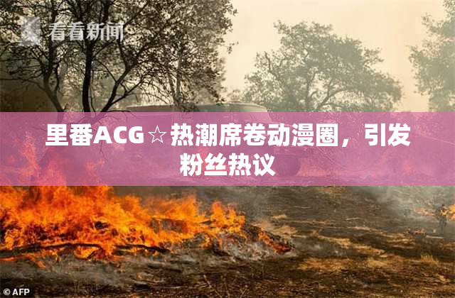 里番ACG☆热潮席卷动漫圈，引发粉丝热议