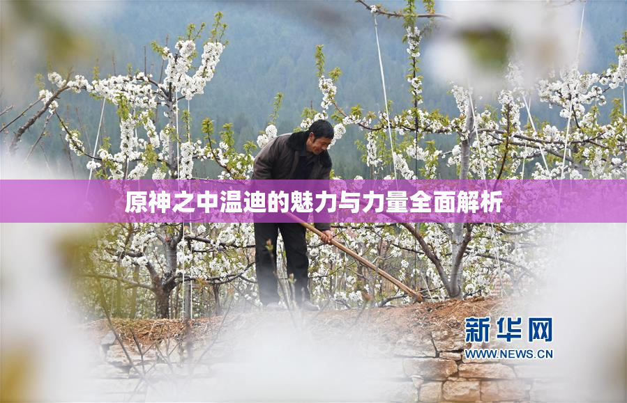 原神之中温迪的魅力与力量全面解析
