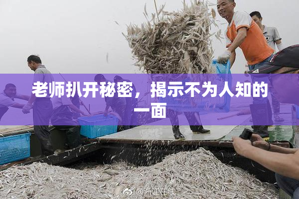 老师扒开秘密，揭示不为人知的一面