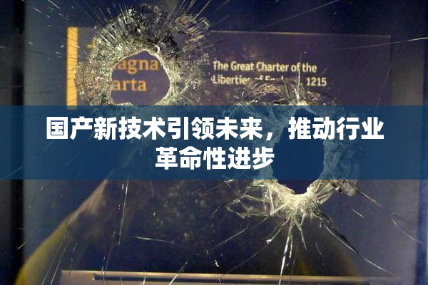 国产新技术引领未来，推动行业革命性进步