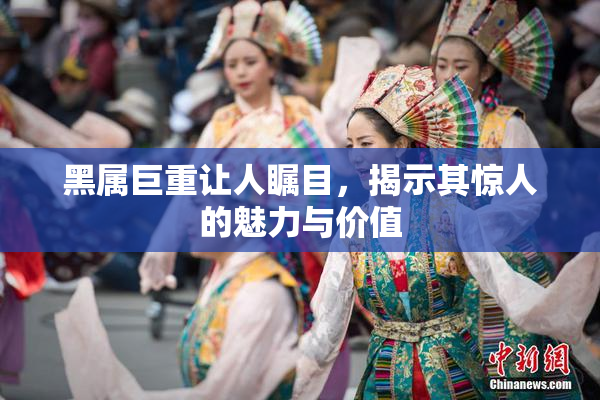 黑属巨重让人瞩目，揭示其惊人的魅力与价值