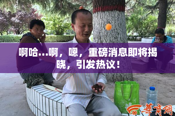啊哈…啊，嗯，重磅消息即将揭晓，引发热议！