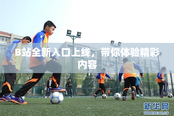 B站全新入口上线，带你体验精彩内容