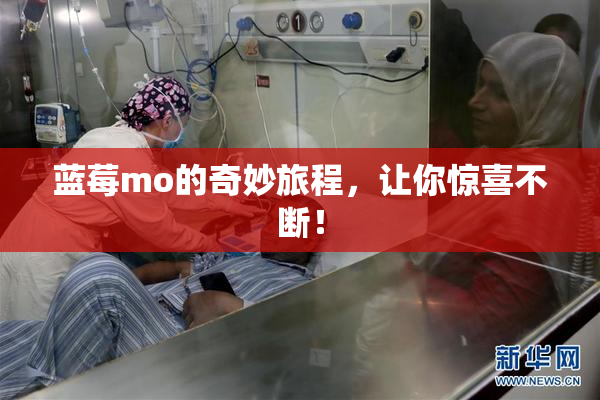 蓝莓mo的奇妙旅程，让你惊喜不断！
