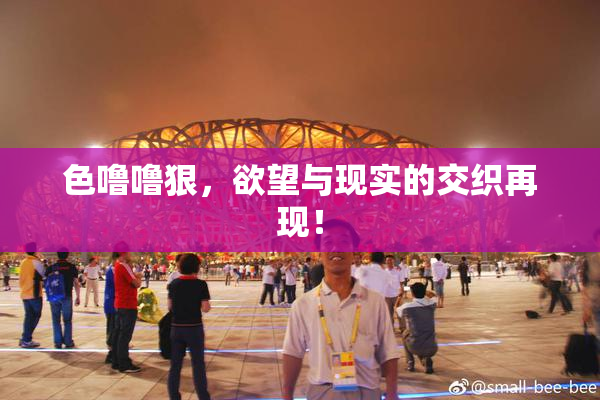 色噜噜狠，欲望与现实的交织再现！