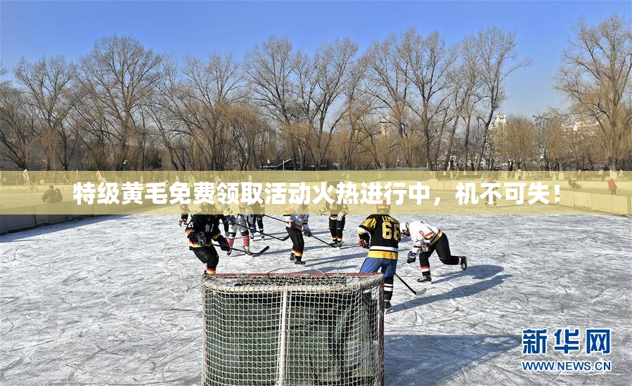 特级黄毛免费领取活动火热进行中，机不可失！