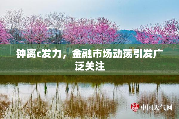 钟离c发力，金融市场动荡引发广泛关注