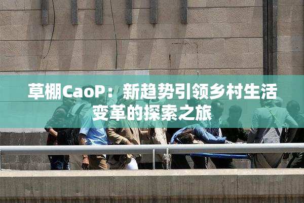 草棚CaoP：新趋势引领乡村生活变革的探索之旅